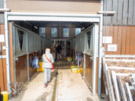 NH051025-92 - Nicky Henderson Stable Visit